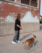 Load image into Gallery viewer, LOVE WHO YOU WANT relaxed heavy tee (BLACK)