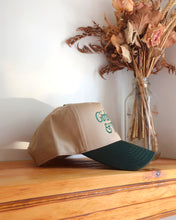 Load image into Gallery viewer, GIRLS GAYS &amp; THEYS snapback (Green)
